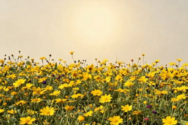 Flores amarillas reciben el sol en un jardín abierto y luminoso