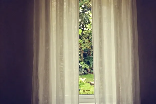 Visillo translúcido deja entrever un jardín bajo una luz difusa