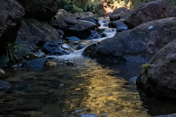 Corrientes de agua que confluyen entre rocas oscuras.
