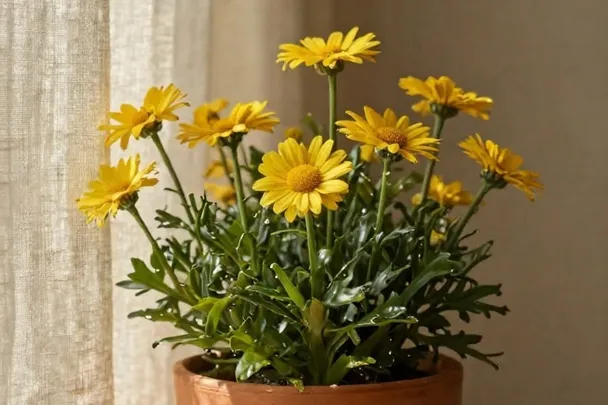 Flores amarillas y una cortina ligera en una terraza soleada.