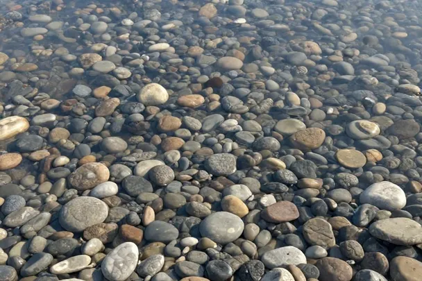 Piedras claras y oscuras integradas en una superficie natural.