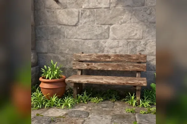 Banco de madera junto a una planta recién brotada en un patio silencioso.