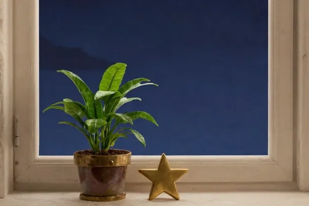 A small star-shaped metal object rests beside new growth in a plant pot.