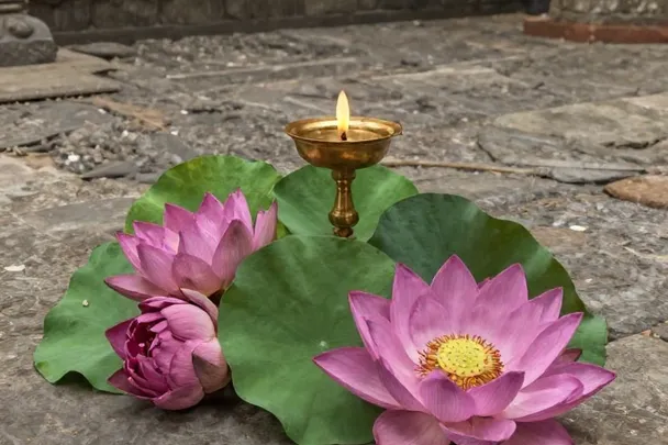Flores de loto y una lámpara de aceite en un espacio de contemplación