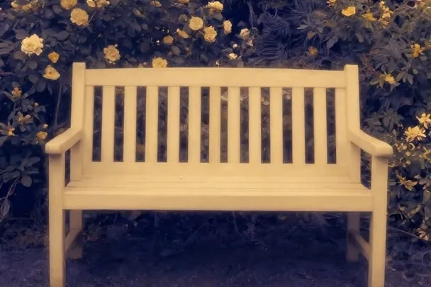 Rosas abundantes crecen alrededor de un asiento de jardín vacío