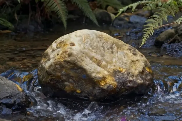 Roca firme rodeada por un arroyo de corriente suave.