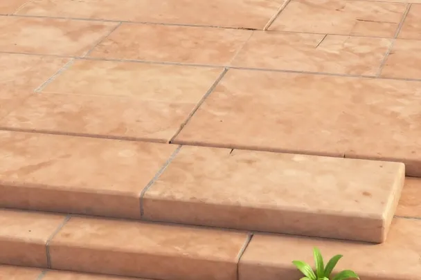 Suelo de piedra reparado junto a plantas que empiezan a crecer.