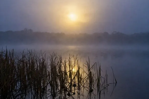 Luz de amanecer que atraviesa la niebla sobre un lago.