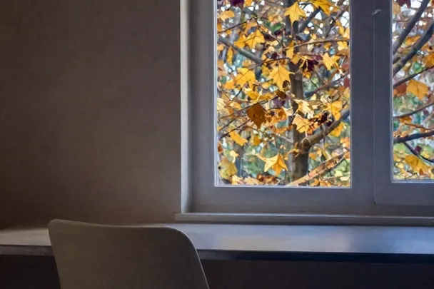 Silla de escritorio vacía mira hacia una ventana con hojas que cambian de color