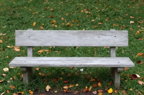 Hojas caídas alrededor de un banco de parque vacío.