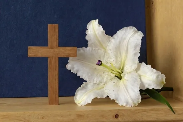 Lirio blanco junto a una cruz de madera en una repisa tranquila