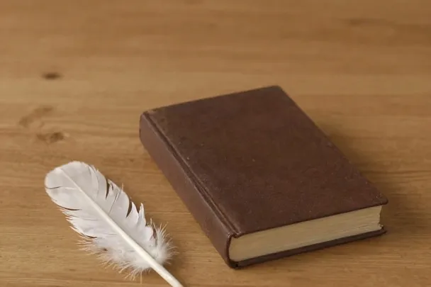 Pluma blanca junto a un libro cerrado de tapas lisas.
