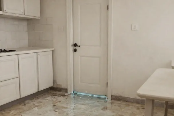 Una capa fina de agua entra bajo la puerta de una cocina intacta