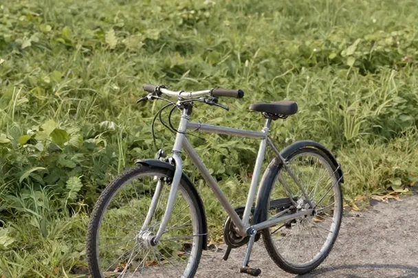 Bicicleta lisa permanece apoyada junto a un sendero