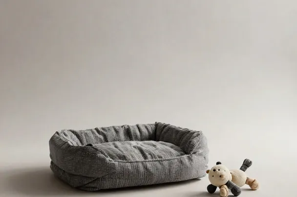 Cama vacía de gato permanece junto a un juguete usado