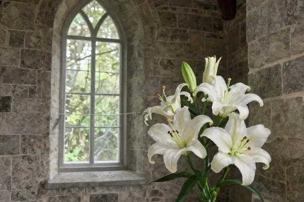 Lirios blancos reciben luz junto a la ventana de una capilla