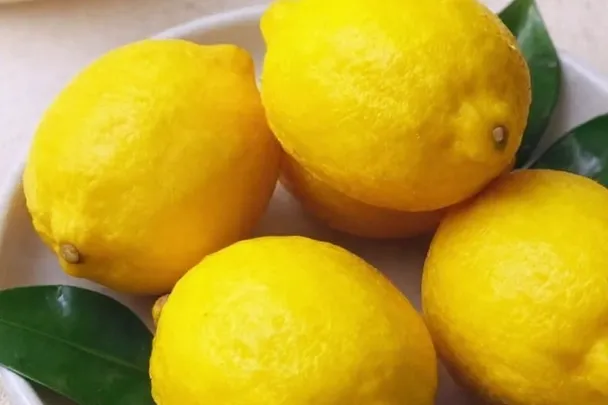 Limones maduros descansan entre hojas verdes en una mesa clara