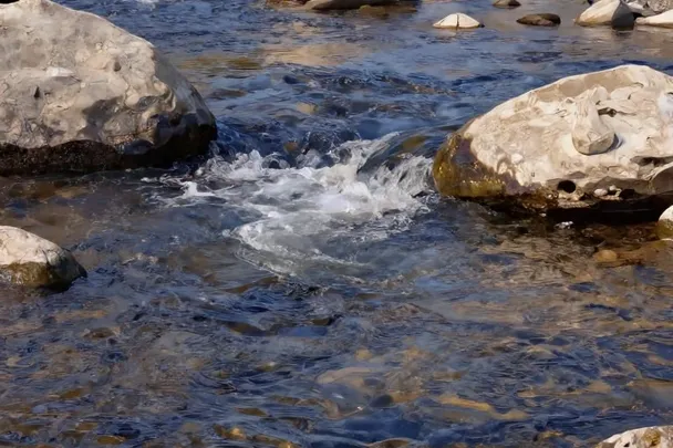 Agua abundante corre entre rocas lisas en un río ancho