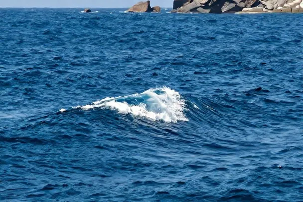 Gran ola oceánica se eleva a distancia frente a una costa rocosa