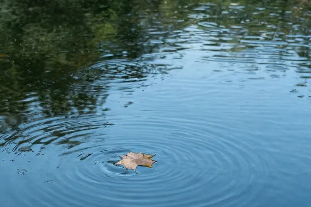 Estanque vacío conserva una hoja flotante y ondas suaves