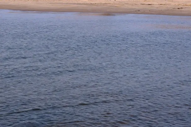 Playa vacía se extiende entre agua serena y dunas suaves
