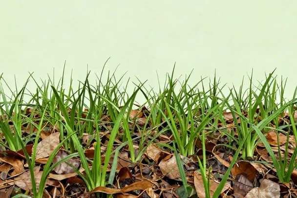 Brotes verdes emergen entre hojas secas después de la lluvia