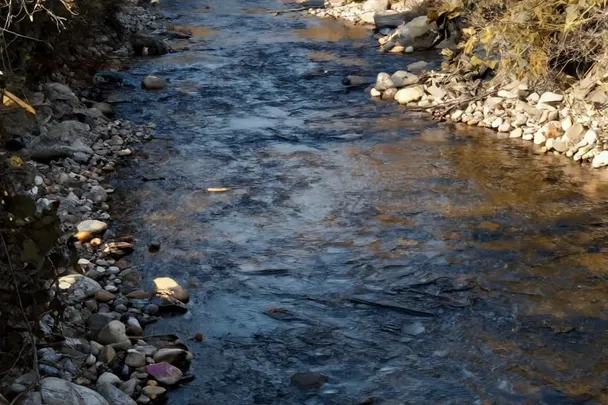Río claro serpentea entre árboles y piedras bajo una luz suave