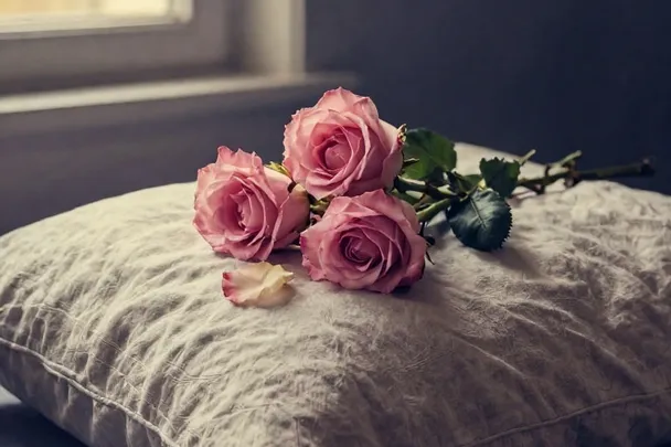 Rosas suaves sobre una almohada de lino junto a una ventana.