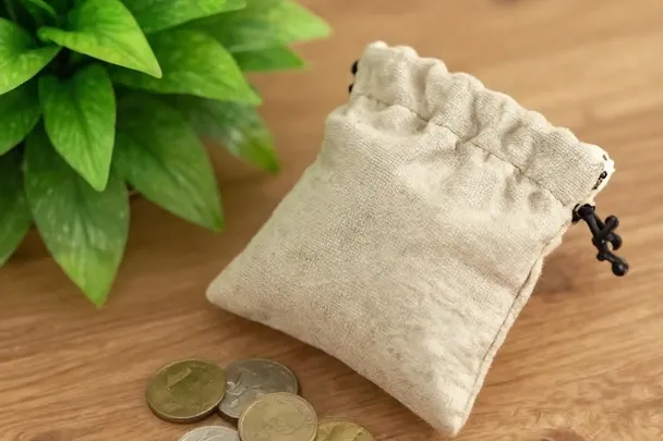 Bolsa de lino cerrada junto a monedas y una planta verde.