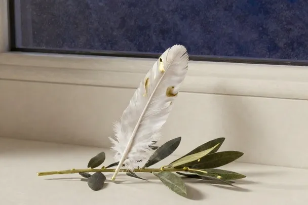 Pluma blanca reposa junto a una rama de olivo en una repisa clara