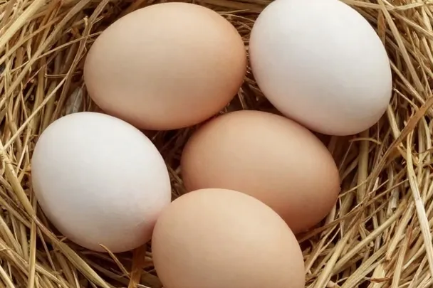 Huevos de gallina descansan en paja limpia dentro de una cesta