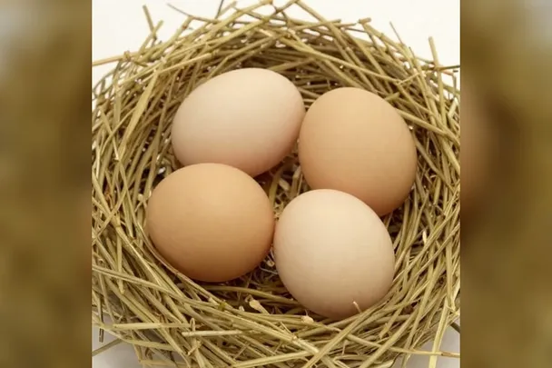 Huevos de tonos naturales descansan en un nido de paja