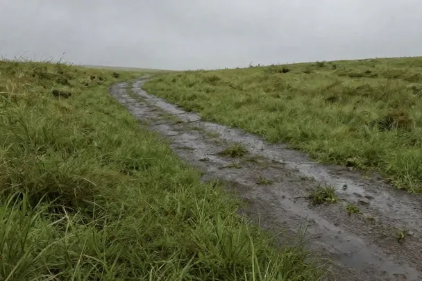 Agua de lluvia cubre un sendero junto a un prado.